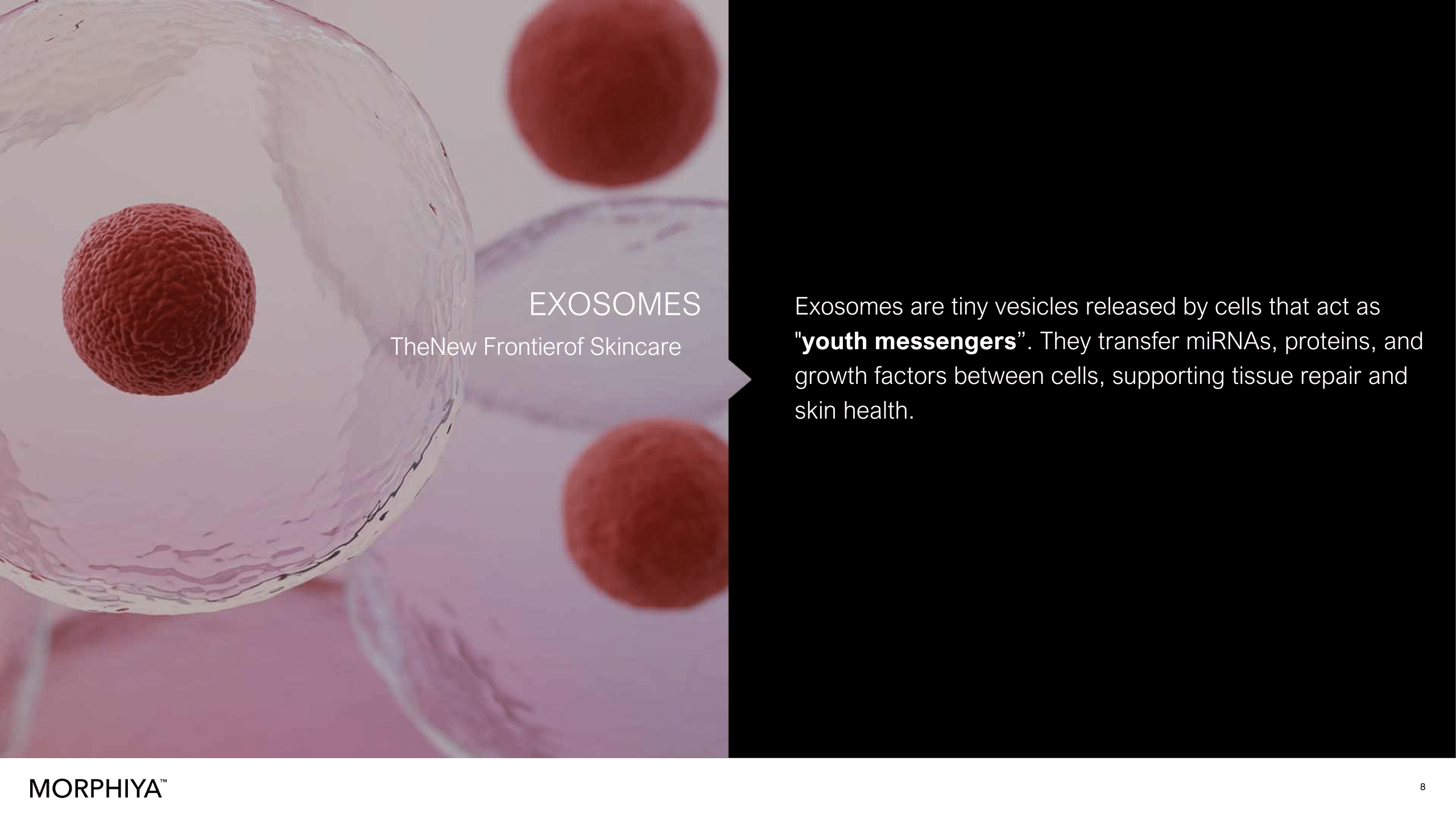 Exosomes Hereford